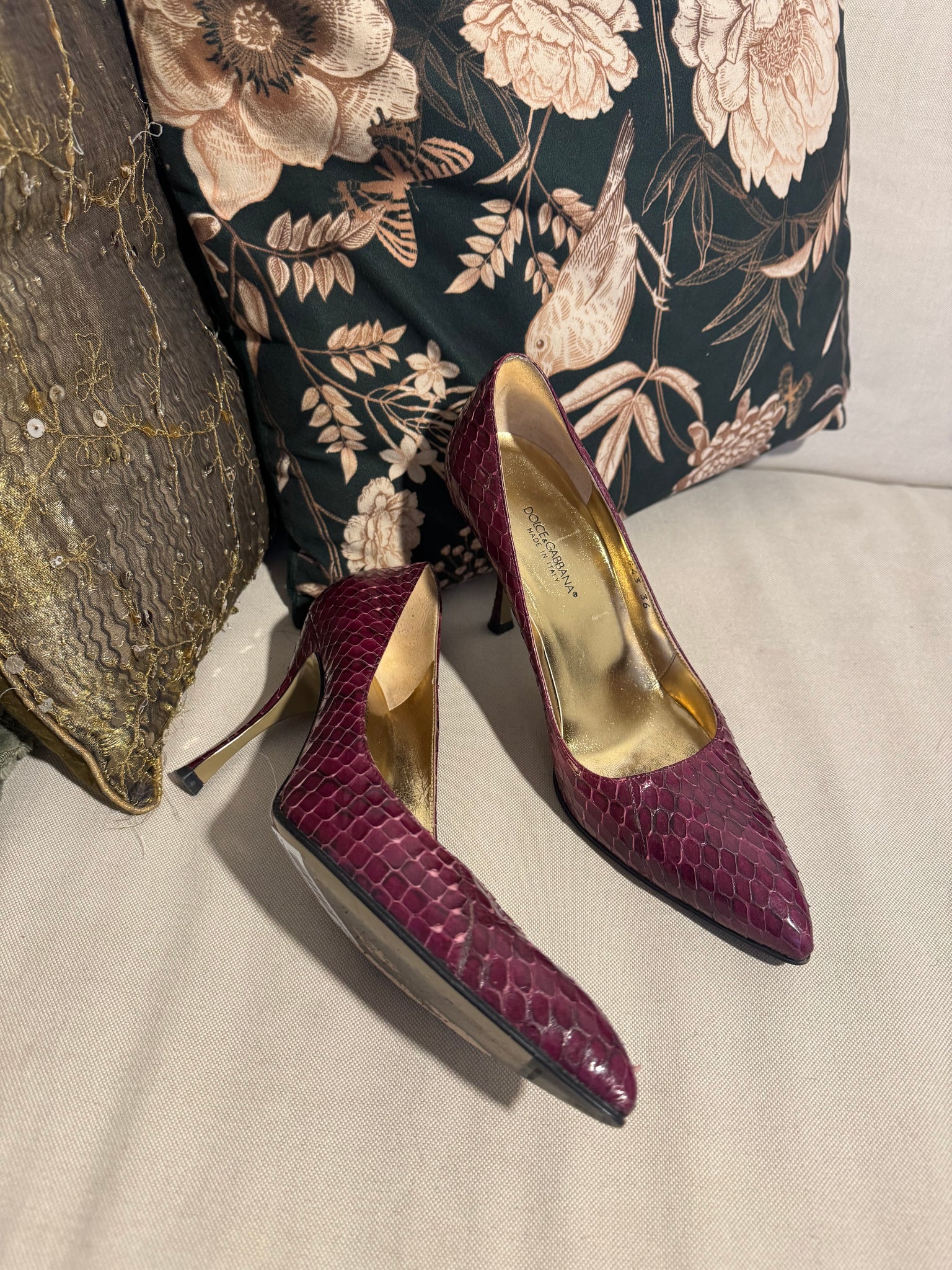 DOLCE AND GABBANA PYTHON SHOES